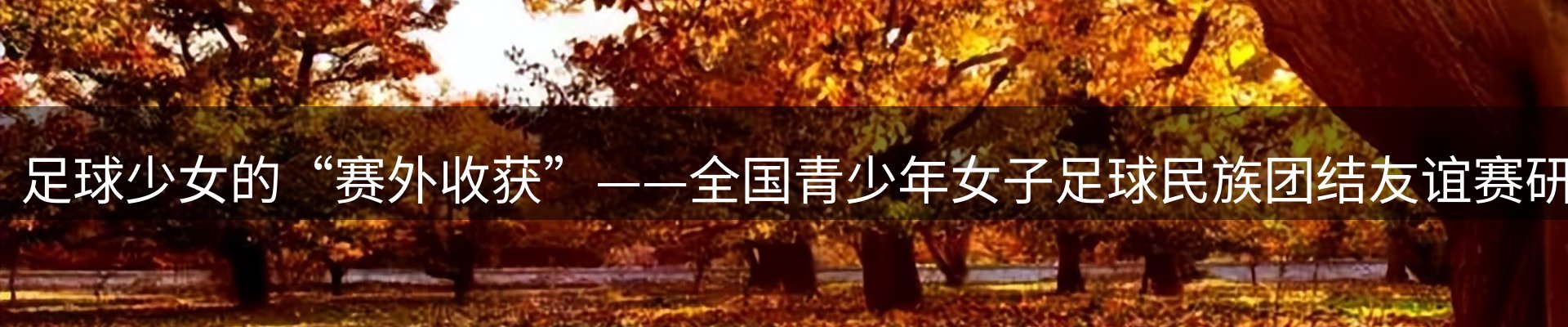 内页banner